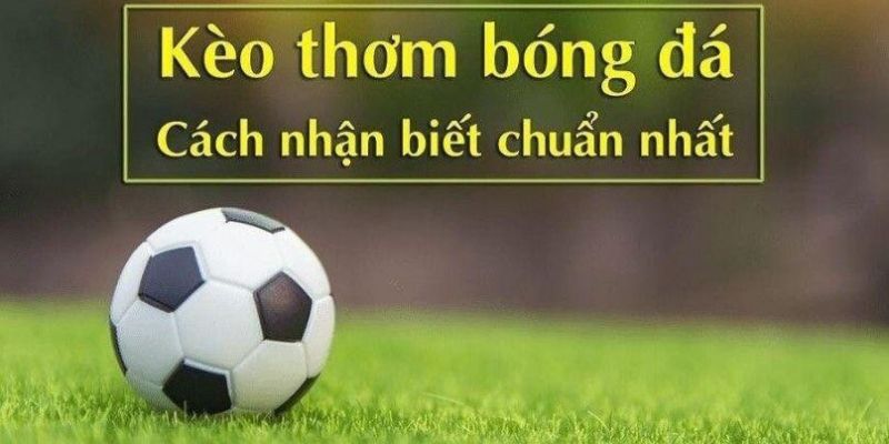 Kèo Thơm - Hướng Dẫn Cách Nhận Biết Chính Xác Từ 95VN